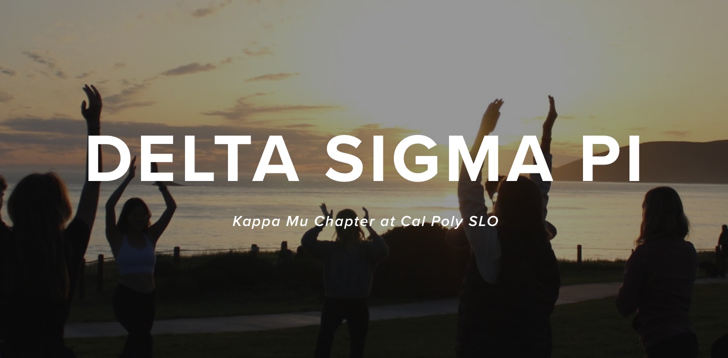 Delta Sigma Pi Website preview