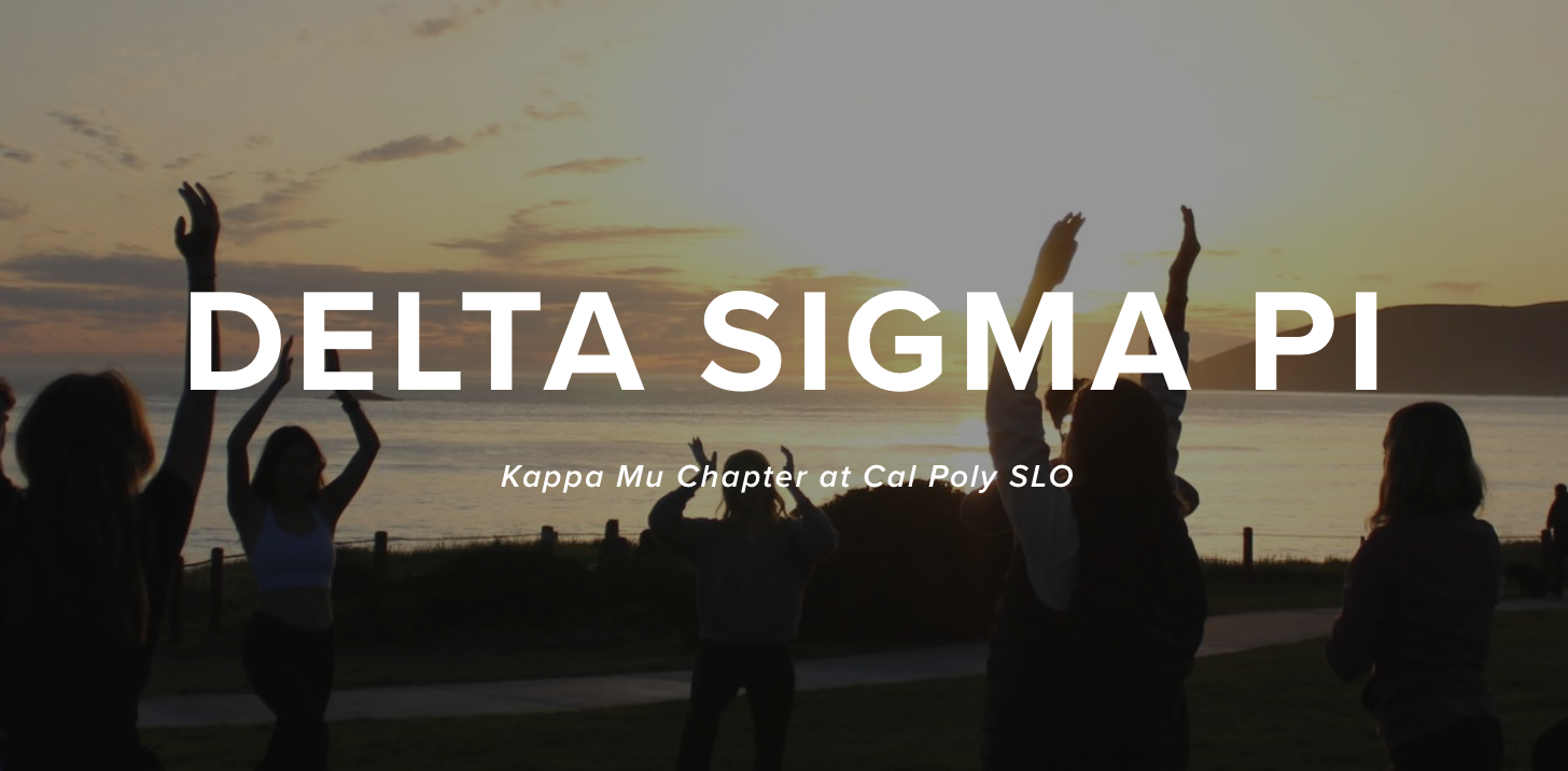 Delta Sigma Pi Website preview