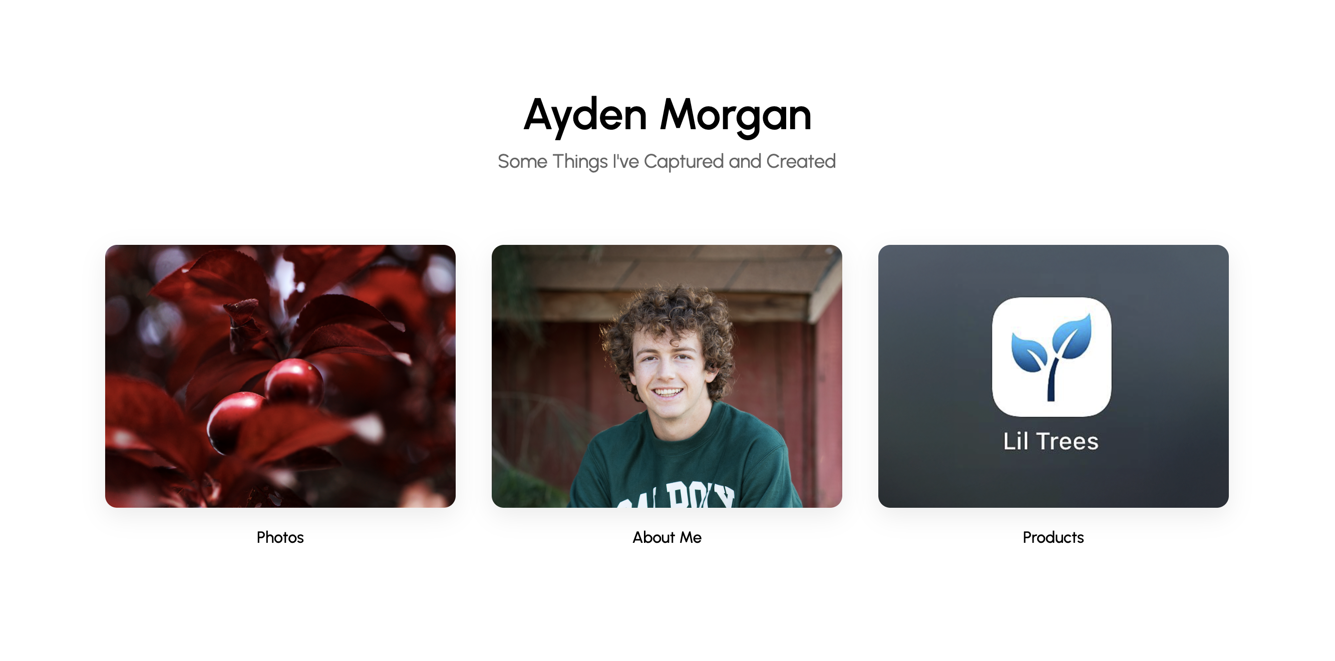 This Website preview